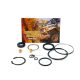 Terrain Tamer steering gearbox seal and oil seal kit Toyota Landcruiser 70 73 75 1991