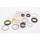 Terrain Tamer steering gearbox seal and oil seal kit Toyota Landcruiser 90 95