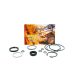 Terrain Tamer steering gearbox seal and oil seal kit Toyota Landcruiser 70 73 75 76 77 78 79 1993<