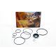 Terrain Tamer servo pump seal and oil seal kit Toyota 4 Runner / Surf