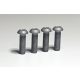 More4x4 Skid Plate Mounting Screw Kit